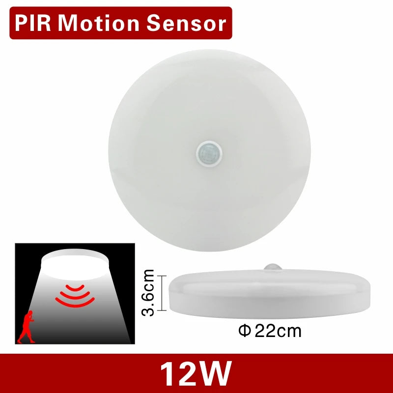 LED PIR Motion Sensor Ceiling Light 12W 24W Modern Lamp Surface Mounted Auto Smart Sounds Control AC 110V 220V Round Panel Light