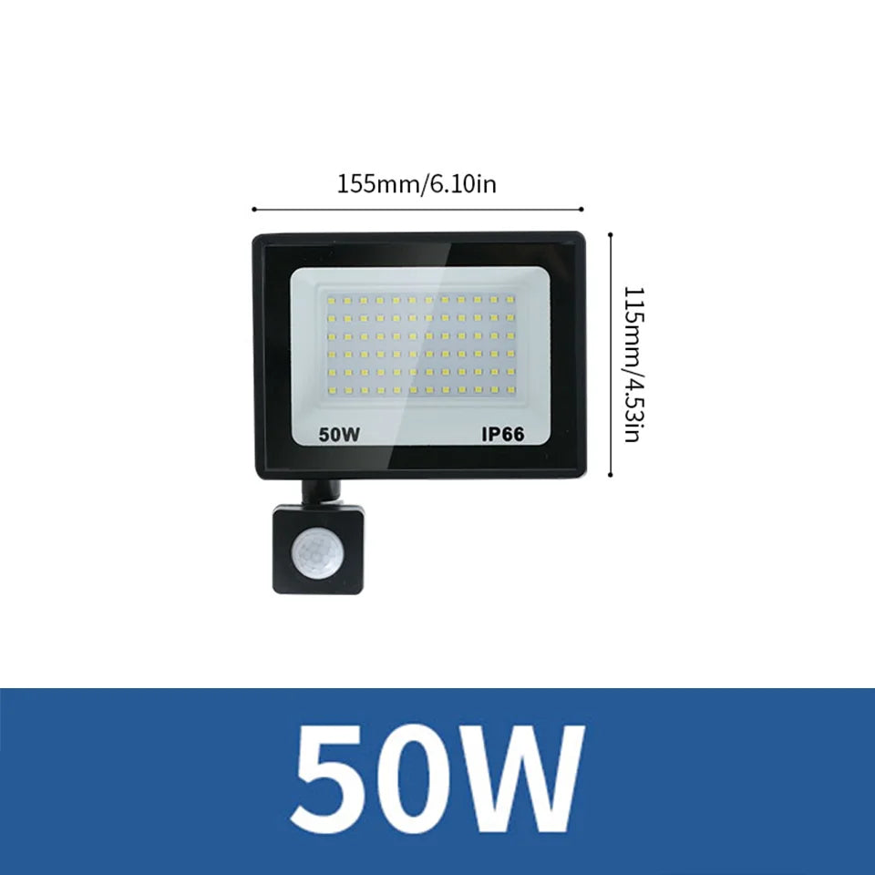 LED Flood Light PIR Motion Sensor 10W 20W 30W 50W 100W 150W 200W 300W AC220V IP66 Waterproof Spotlight Street Floodlight Outdoor