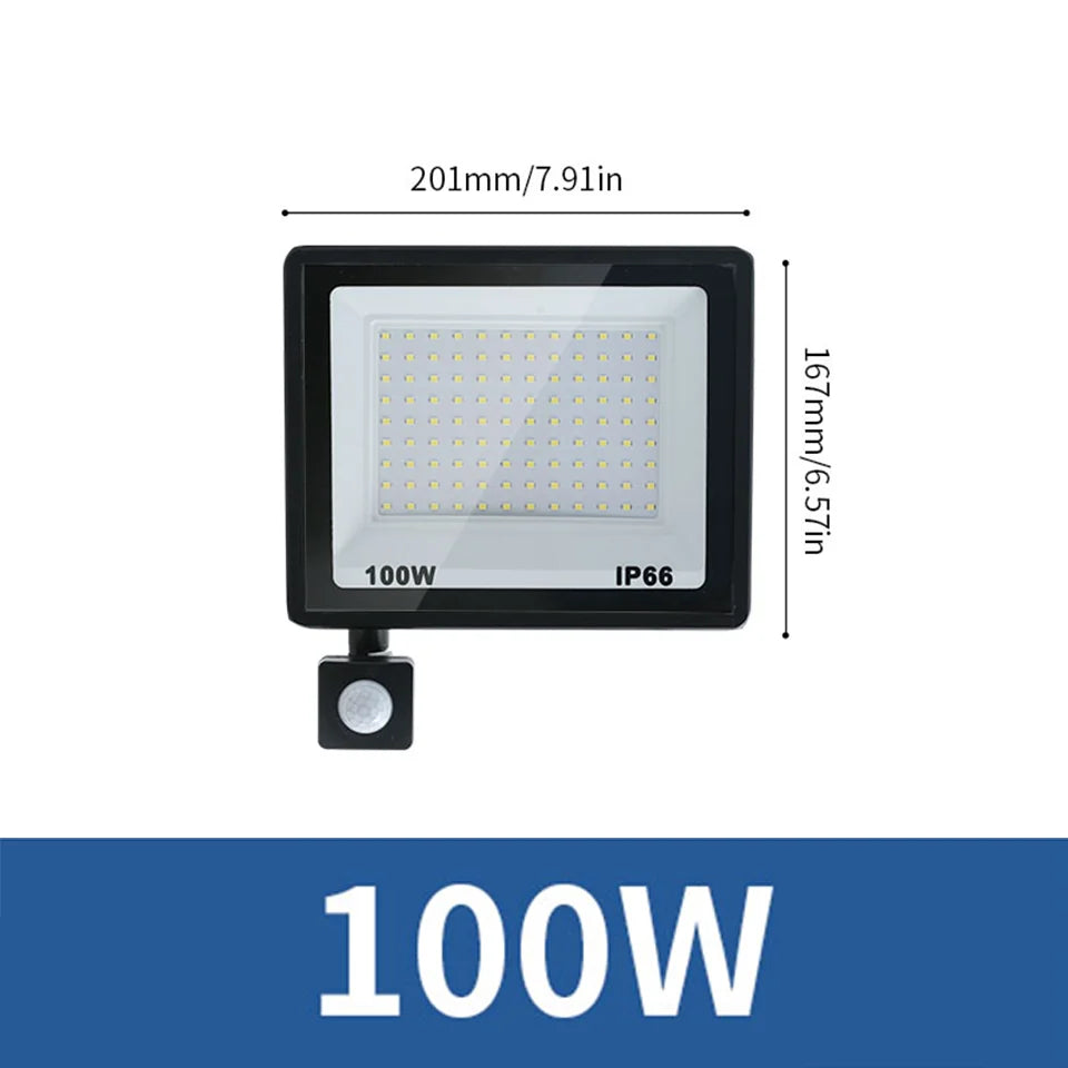 LED Flood Light PIR Motion Sensor 10W 20W 30W 50W 100W 150W 200W 300W AC220V IP66 Waterproof Spotlight Street Floodlight Outdoor