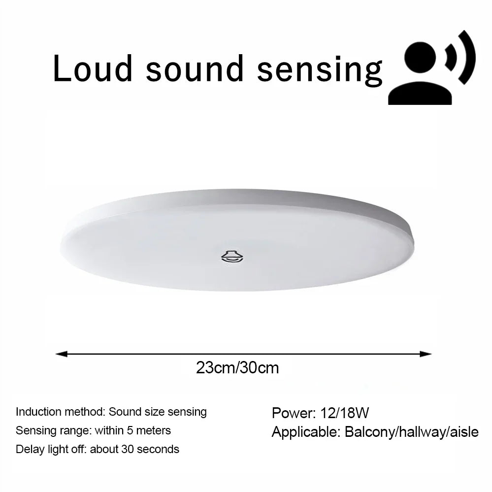Motion Sensor LED Ceiling Light Human Infrared Sensing Light Porch Corridor Staircase Balcony Household Lighting AC 220V