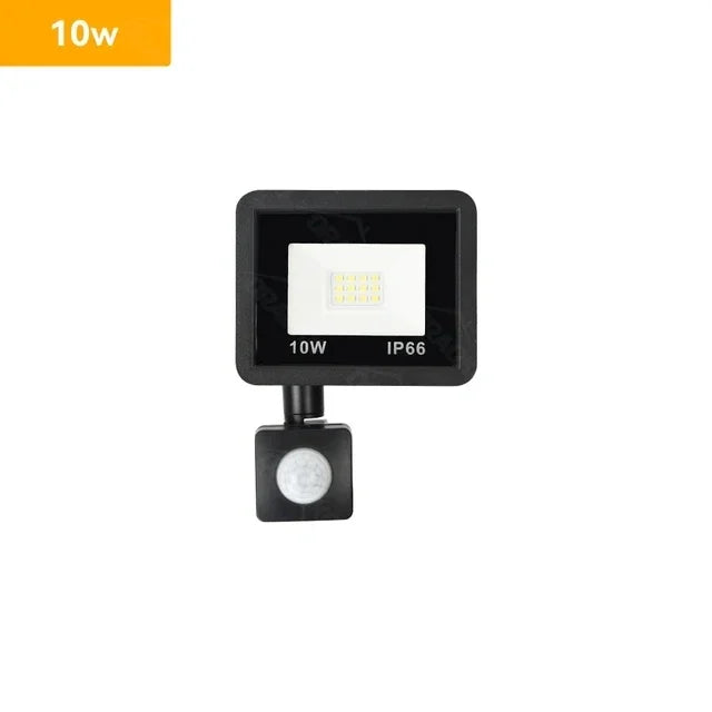 Lamp With Motion Sensor Interior 220V 10W 20W 30W 50W 100W Outdoor Led Flood Light Waterproof Led Spotlight Focus Floodlight