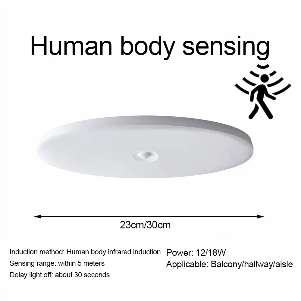 Motion Sensor LED Ceiling Light Human Infrared Sensing Light Porch Corridor Staircase Balcony Household Lighting AC 220V