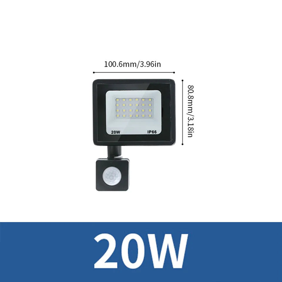 LED Flood Light PIR Motion Sensor 10W 20W 30W 50W 100W 150W 200W 300W AC220V IP66 Waterproof Spotlight Street Floodlight Outdoor
